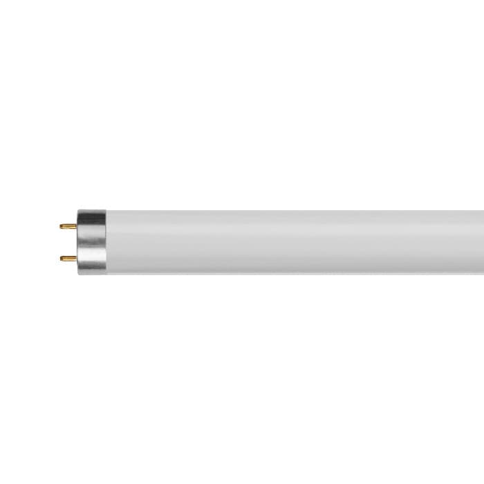 TUBE
